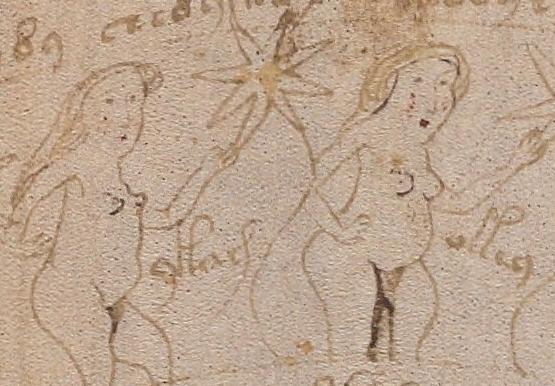 Voynich Manuscript  - Beinecke Rare Book and Manuscript Library, Yale University